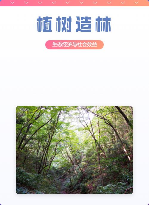 植树造林 生态、经济与社会效益的综合体现——社会经济咨询服务
